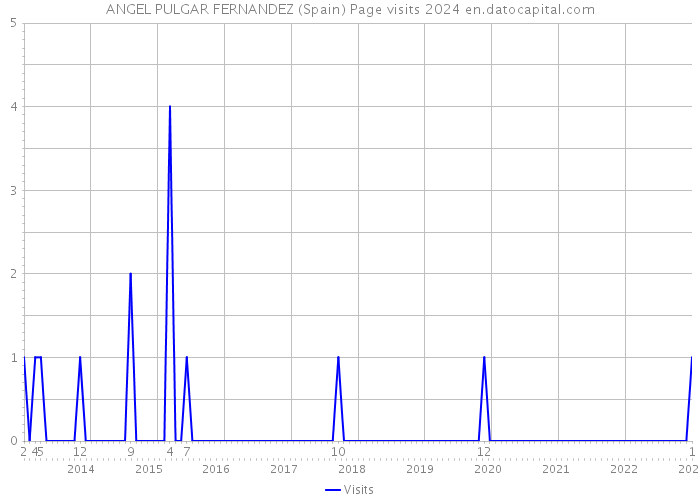 ANGEL PULGAR FERNANDEZ (Spain) Page visits 2024 