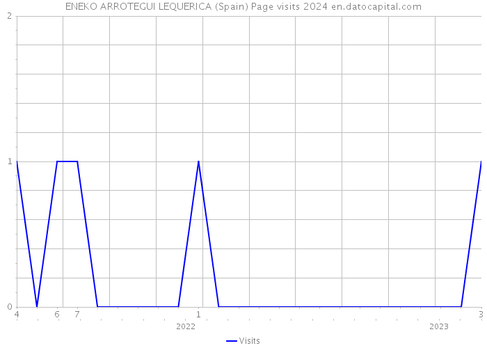 ENEKO ARROTEGUI LEQUERICA (Spain) Page visits 2024 