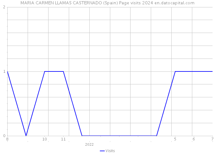 MARIA CARMEN LLAMAS CASTERNADO (Spain) Page visits 2024 