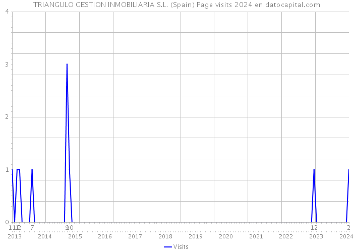 TRIANGULO GESTION INMOBILIARIA S.L. (Spain) Page visits 2024 
