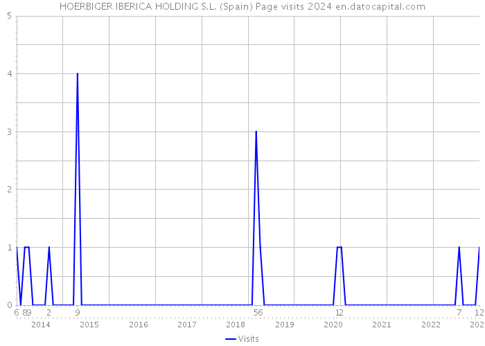 HOERBIGER IBERICA HOLDING S.L. (Spain) Page visits 2024 