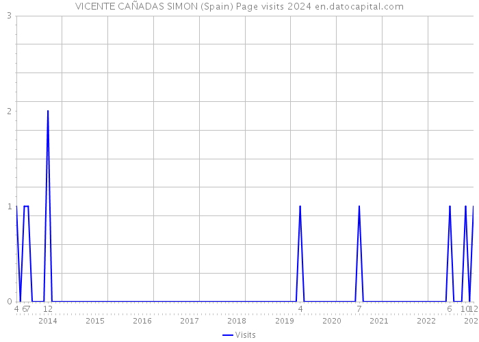 VICENTE CAÑADAS SIMON (Spain) Page visits 2024 