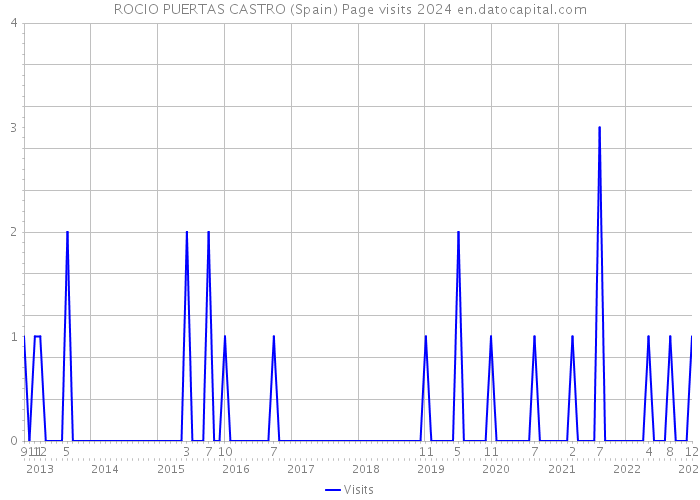 ROCIO PUERTAS CASTRO (Spain) Page visits 2024 
