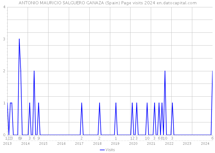 ANTONIO MAURICIO SALGUERO GANAZA (Spain) Page visits 2024 