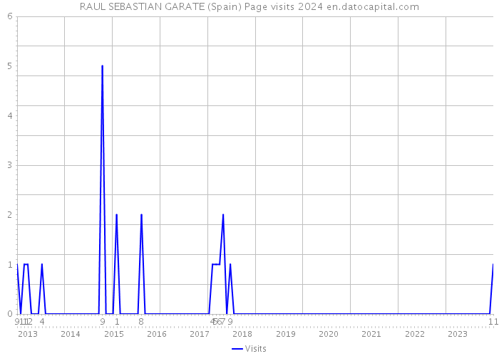 RAUL SEBASTIAN GARATE (Spain) Page visits 2024 