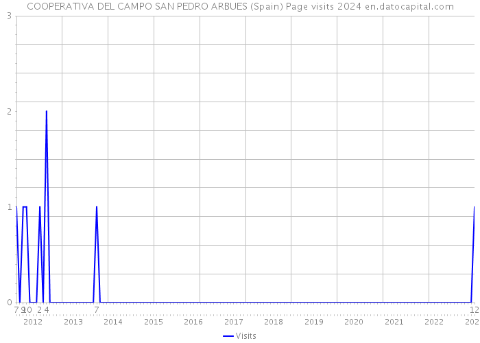 COOPERATIVA DEL CAMPO SAN PEDRO ARBUES (Spain) Page visits 2024 