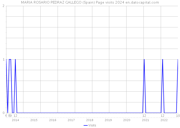 MARIA ROSARIO PEDRAZ GALLEGO (Spain) Page visits 2024 