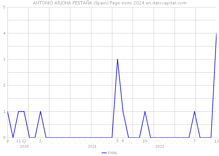 ANTONIO ARJONA PESTAÑA (Spain) Page visits 2024 
