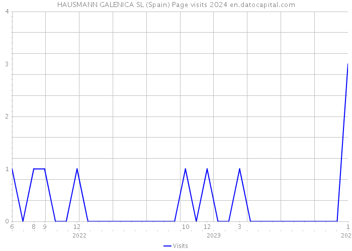 HAUSMANN GALENICA SL (Spain) Page visits 2024 