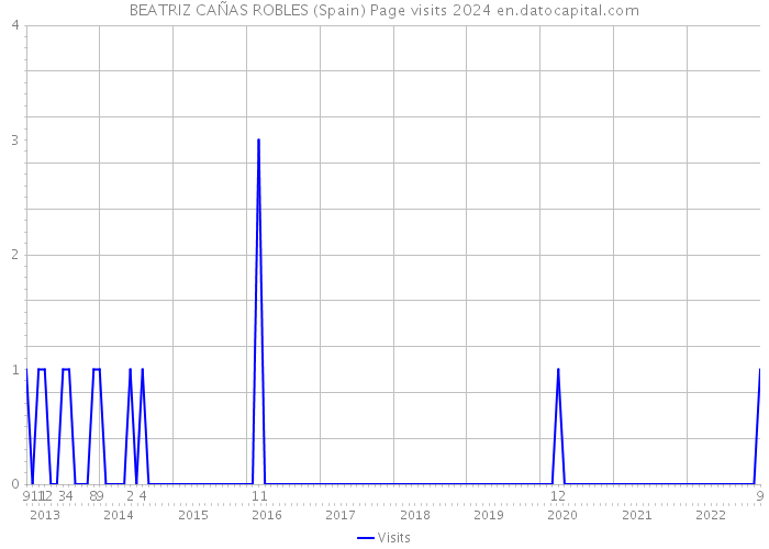BEATRIZ CAÑAS ROBLES (Spain) Page visits 2024 