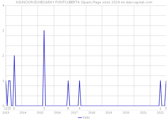 ASUNCION ECHEGARAY FONTCUBERTA (Spain) Page visits 2024 