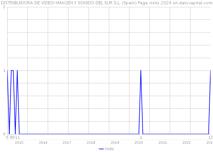 DISTRIBUIDORA DE VIDEO-IMAGEN Y SONIDO DEL SUR S.L. (Spain) Page visits 2024 