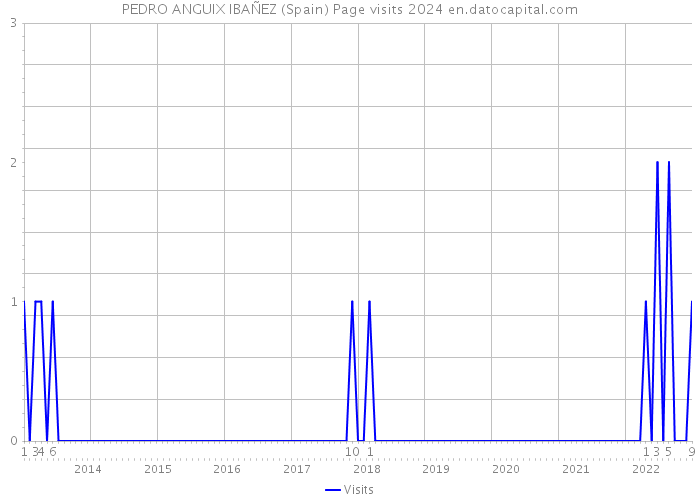 PEDRO ANGUIX IBAÑEZ (Spain) Page visits 2024 