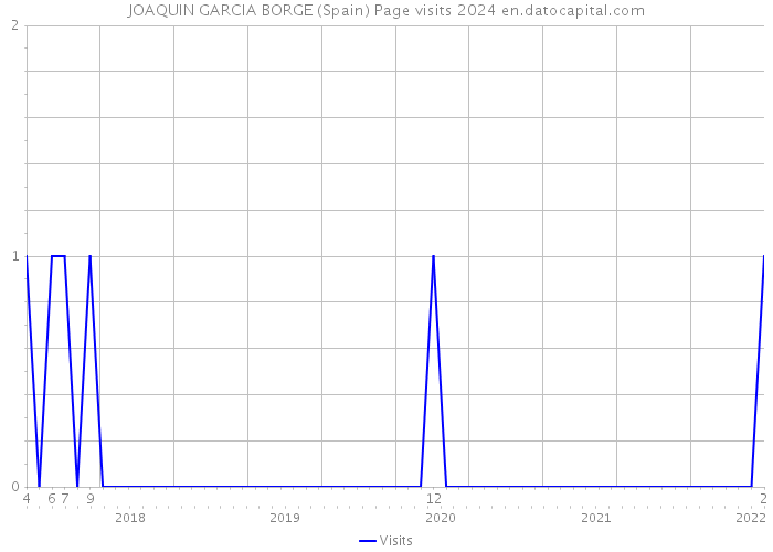 JOAQUIN GARCIA BORGE (Spain) Page visits 2024 