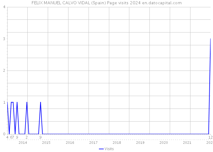 FELIX MANUEL CALVO VIDAL (Spain) Page visits 2024 