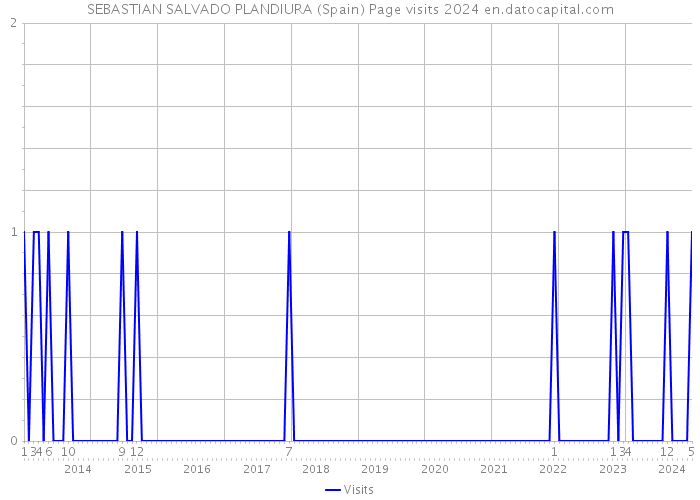 SEBASTIAN SALVADO PLANDIURA (Spain) Page visits 2024 