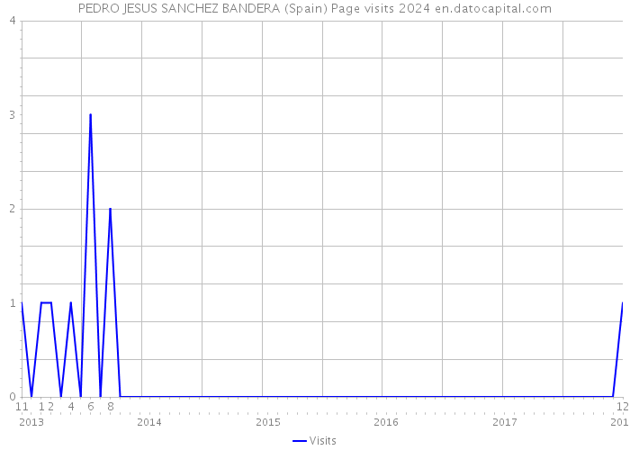 PEDRO JESUS SANCHEZ BANDERA (Spain) Page visits 2024 