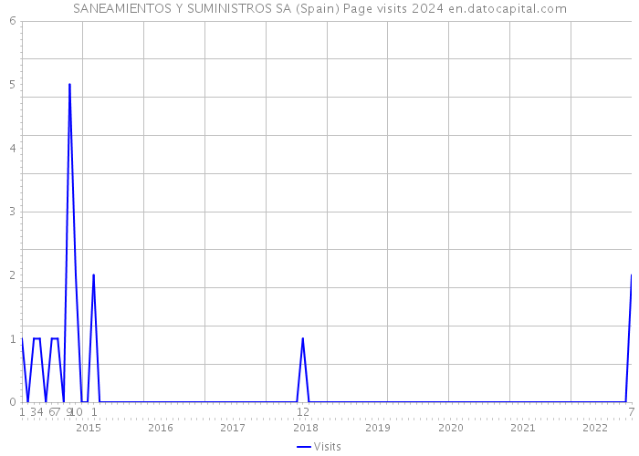 SANEAMIENTOS Y SUMINISTROS SA (Spain) Page visits 2024 