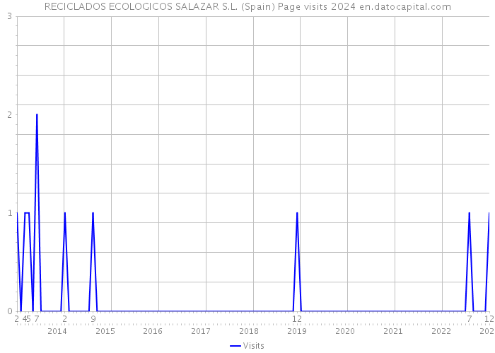 RECICLADOS ECOLOGICOS SALAZAR S.L. (Spain) Page visits 2024 