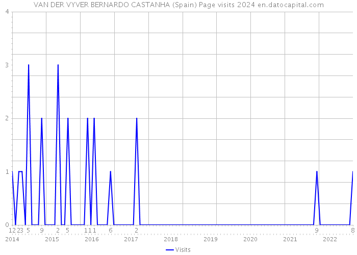VAN DER VYVER BERNARDO CASTANHA (Spain) Page visits 2024 