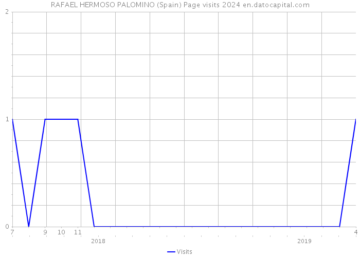 RAFAEL HERMOSO PALOMINO (Spain) Page visits 2024 