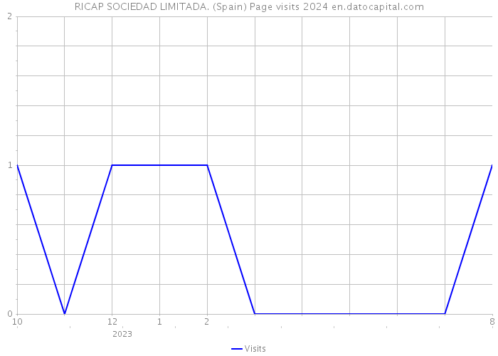 RICAP SOCIEDAD LIMITADA. (Spain) Page visits 2024 