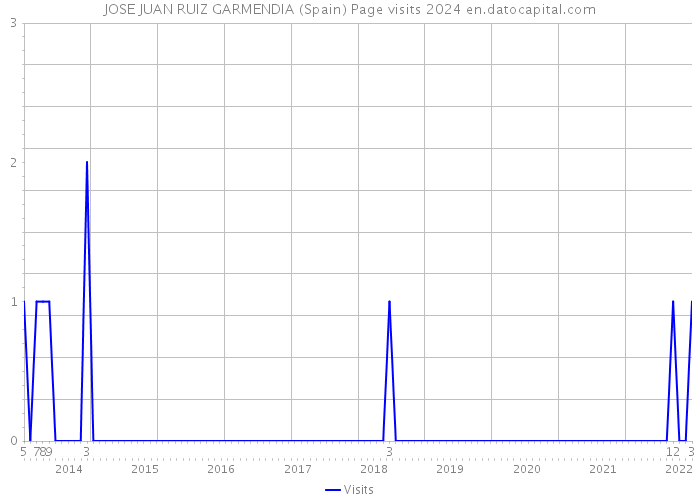 JOSE JUAN RUIZ GARMENDIA (Spain) Page visits 2024 
