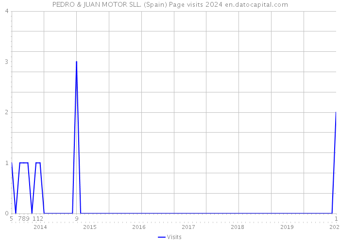 PEDRO & JUAN MOTOR SLL. (Spain) Page visits 2024 