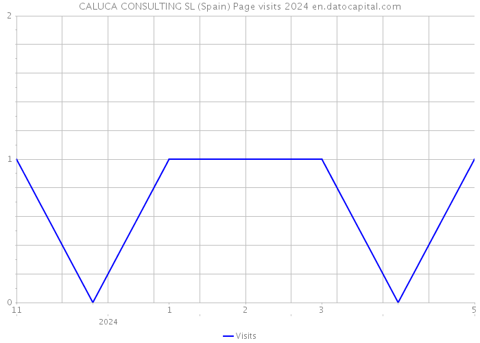 CALUCA CONSULTING SL (Spain) Page visits 2024 