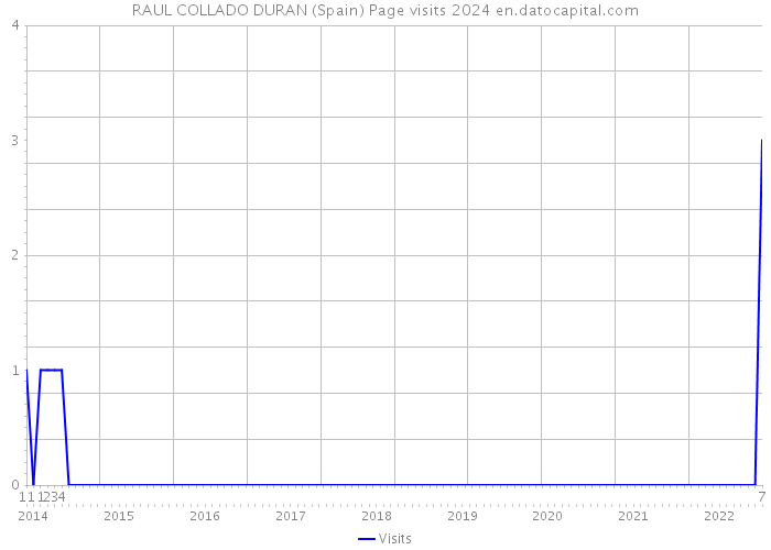 RAUL COLLADO DURAN (Spain) Page visits 2024 