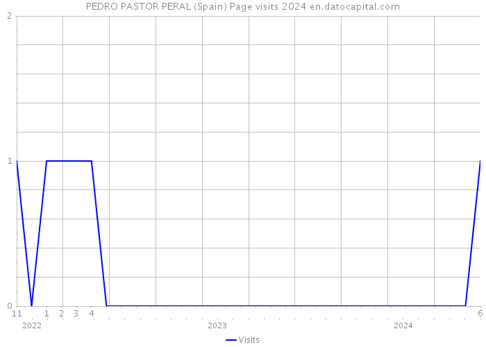 PEDRO PASTOR PERAL (Spain) Page visits 2024 