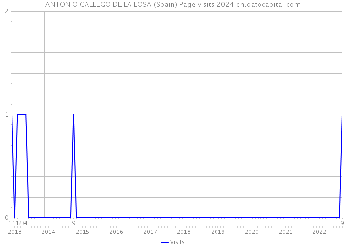 ANTONIO GALLEGO DE LA LOSA (Spain) Page visits 2024 