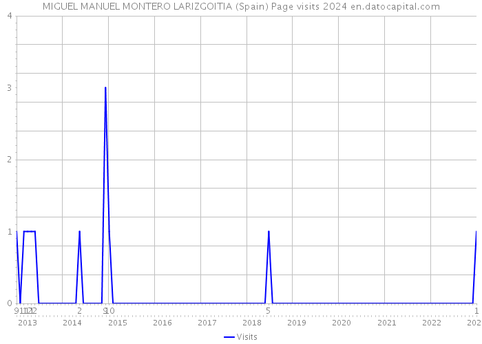 MIGUEL MANUEL MONTERO LARIZGOITIA (Spain) Page visits 2024 