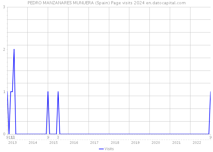 PEDRO MANZANARES MUNUERA (Spain) Page visits 2024 