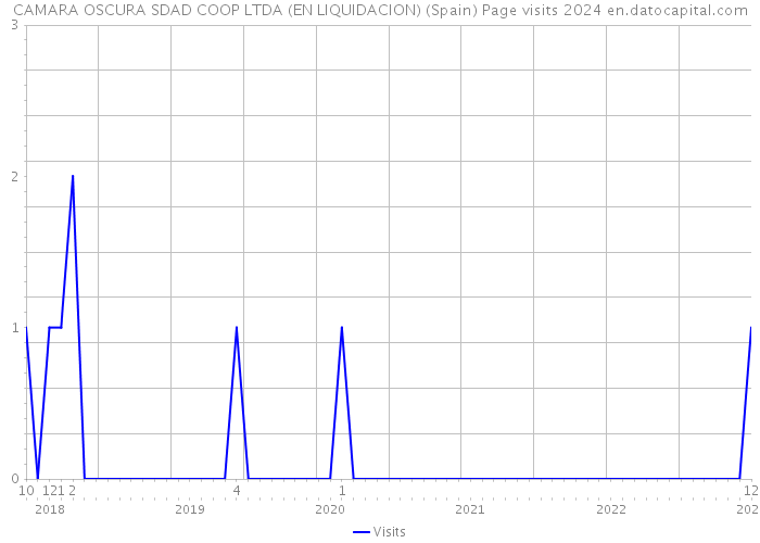 CAMARA OSCURA SDAD COOP LTDA (EN LIQUIDACION) (Spain) Page visits 2024 