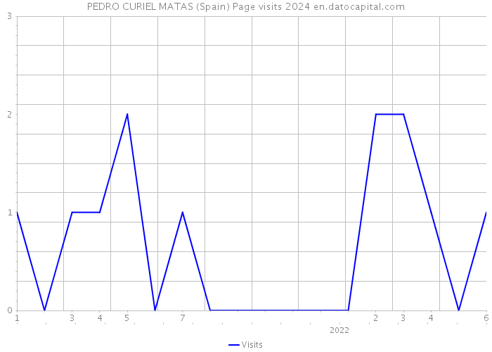PEDRO CURIEL MATAS (Spain) Page visits 2024 