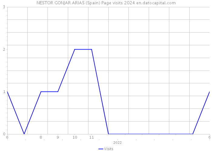 NESTOR GONJAR ARIAS (Spain) Page visits 2024 