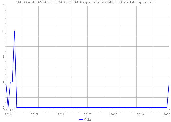 SALGO A SUBASTA SOCIEDAD LIMITADA (Spain) Page visits 2024 