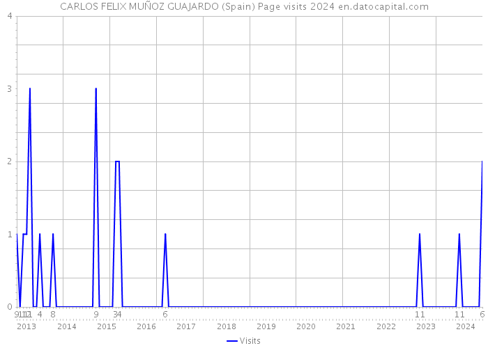 CARLOS FELIX MUÑOZ GUAJARDO (Spain) Page visits 2024 