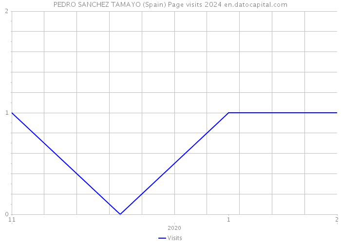 PEDRO SANCHEZ TAMAYO (Spain) Page visits 2024 