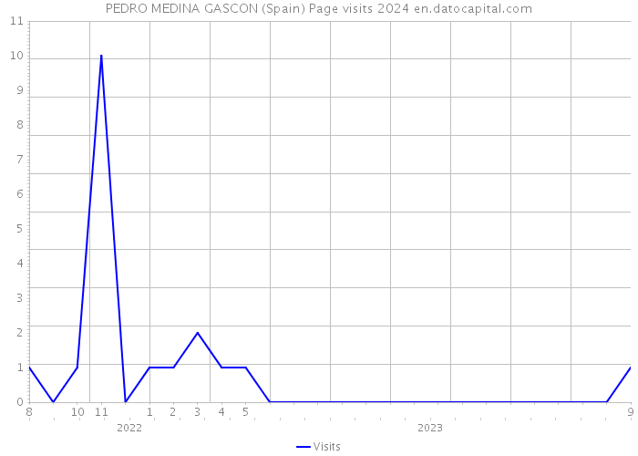 PEDRO MEDINA GASCON (Spain) Page visits 2024 