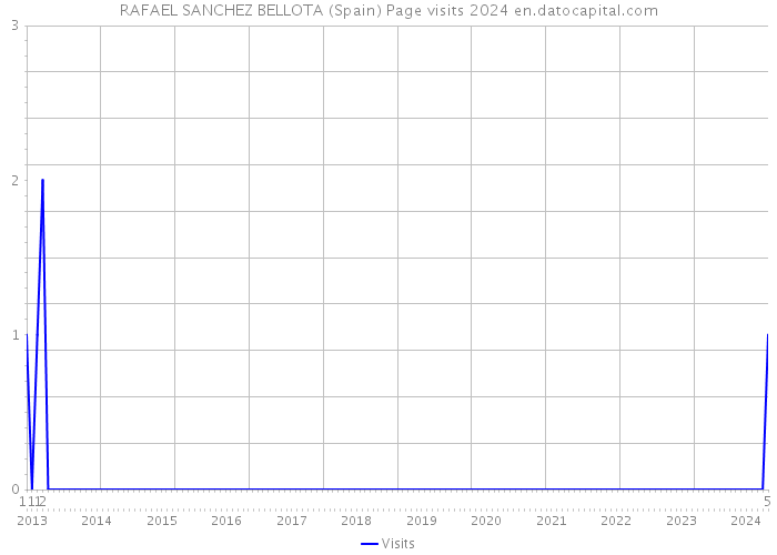 RAFAEL SANCHEZ BELLOTA (Spain) Page visits 2024 