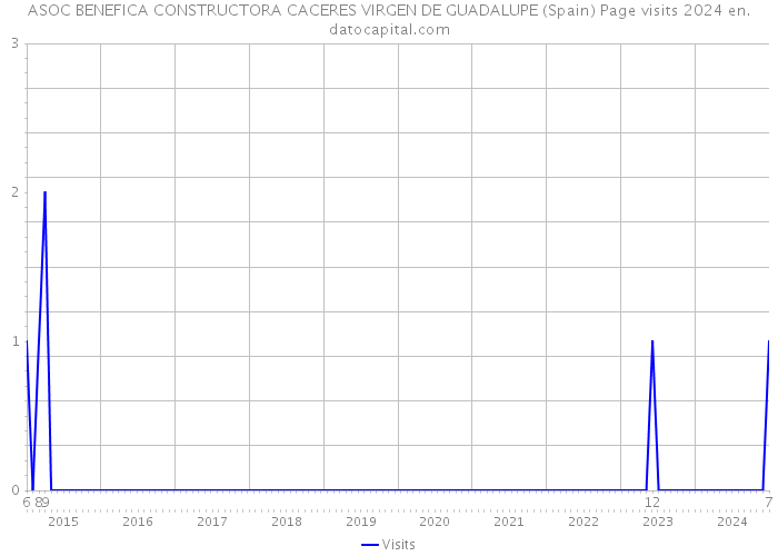 ASOC BENEFICA CONSTRUCTORA CACERES VIRGEN DE GUADALUPE (Spain) Page visits 2024 