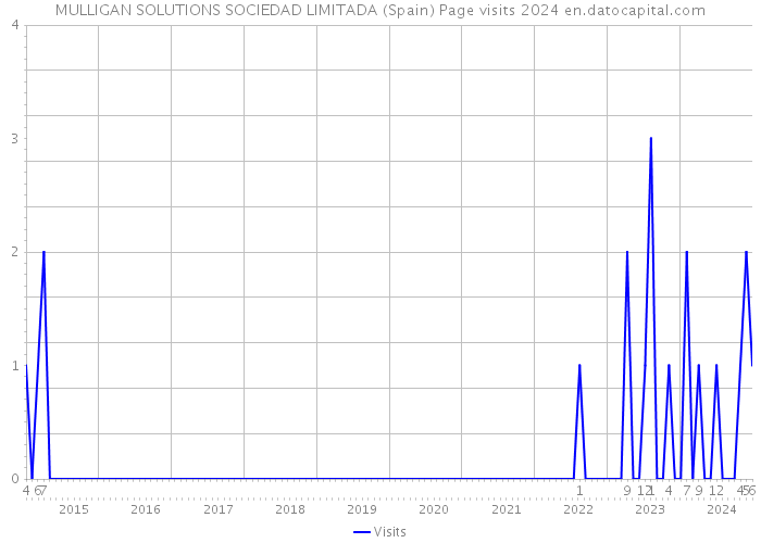 MULLIGAN SOLUTIONS SOCIEDAD LIMITADA (Spain) Page visits 2024 