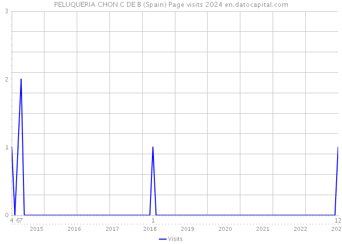 PELUQUERIA CHON C DE B (Spain) Page visits 2024 