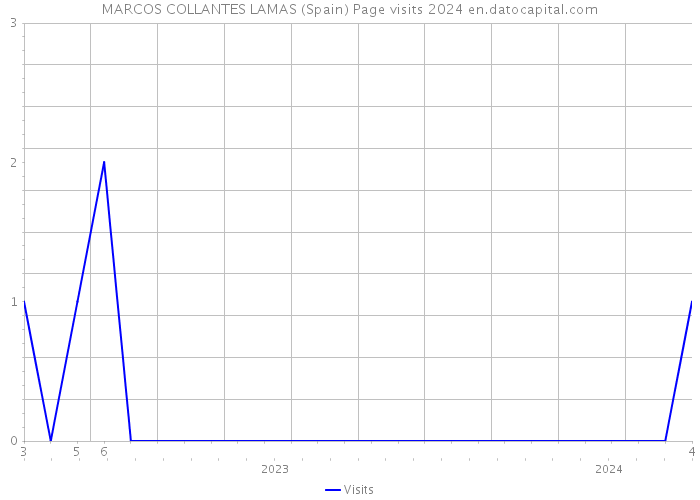 MARCOS COLLANTES LAMAS (Spain) Page visits 2024 