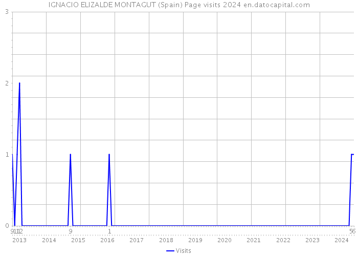 IGNACIO ELIZALDE MONTAGUT (Spain) Page visits 2024 