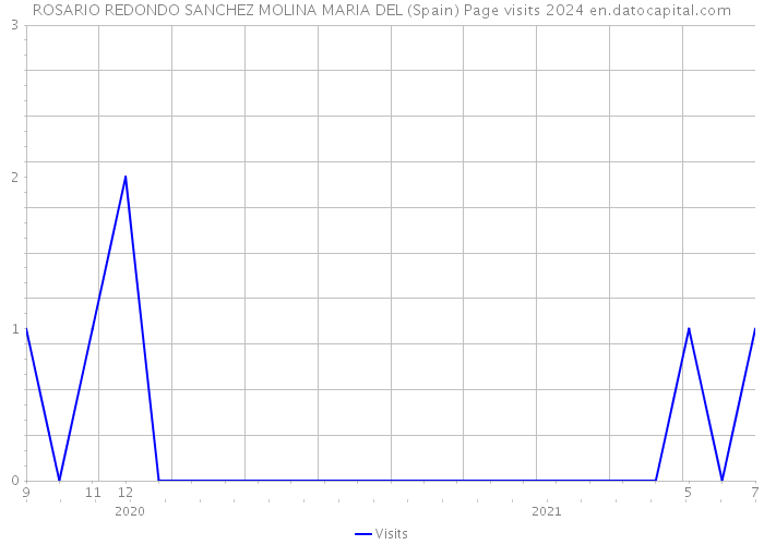 ROSARIO REDONDO SANCHEZ MOLINA MARIA DEL (Spain) Page visits 2024 