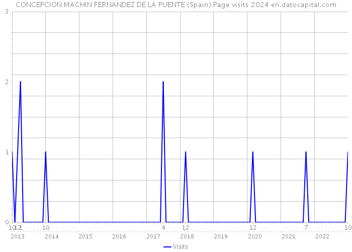 CONCEPCION MACHIN FERNANDEZ DE LA PUENTE (Spain) Page visits 2024 