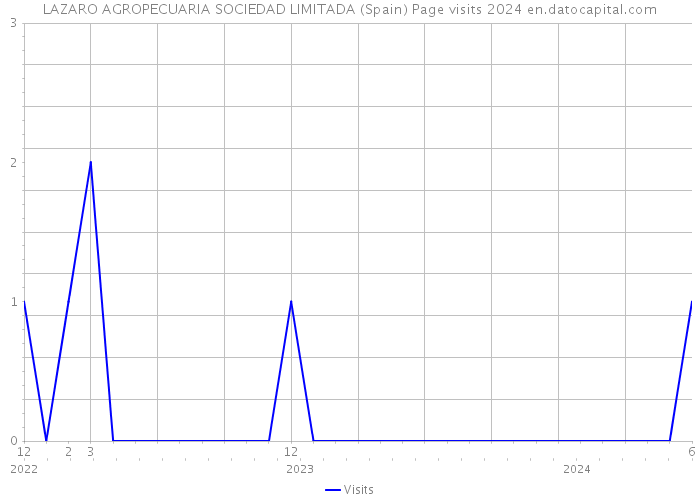 LAZARO AGROPECUARIA SOCIEDAD LIMITADA (Spain) Page visits 2024 